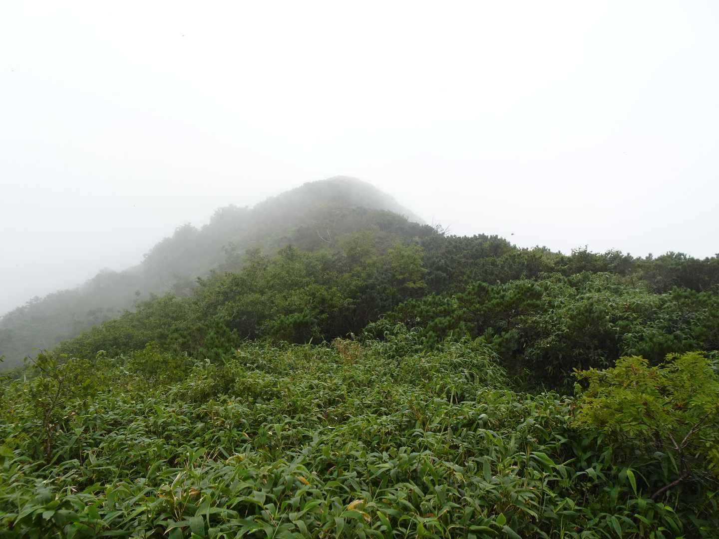登り切って稜線、ニセコアンヌプリは双耳峰⛰
こちらは南峰のピーク、道は無かったかと思います🧐