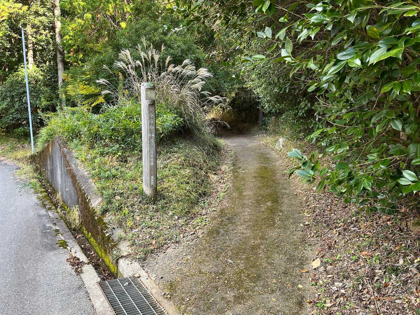 ここから登山道へ