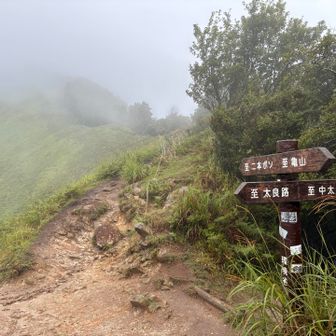 ボーっと歩いて、気がついたら亀山を過ぎてしまいました。山頂標識なかったような