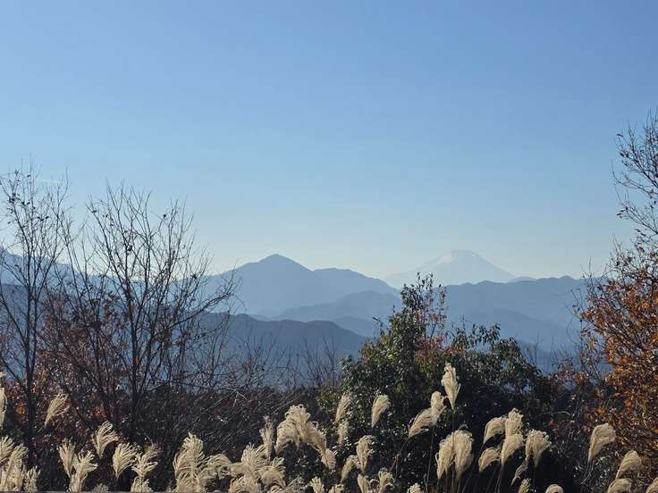 草戸山（東京,神奈川） | YAMAP / ヤマップ