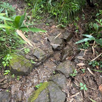 平尾台では珍しい小川