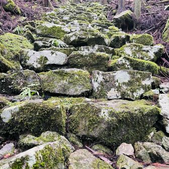 参道なのだが、石の下を水が流れている。コケが濡れていて滑りやすい。