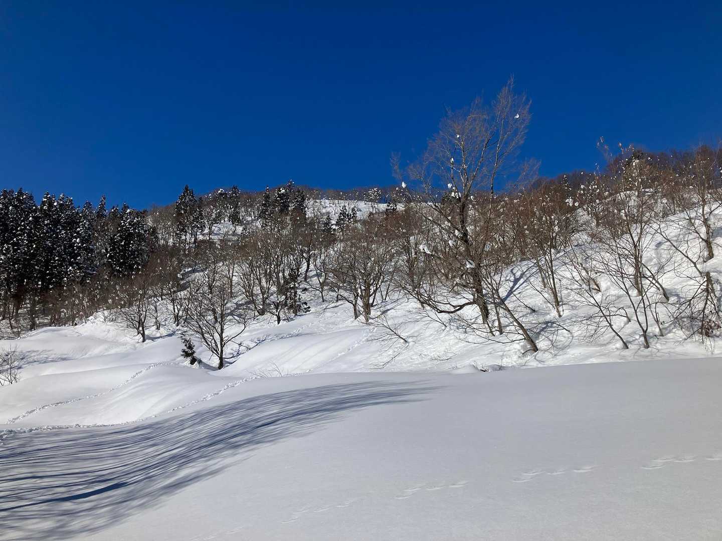 山頂まで３０分ほど