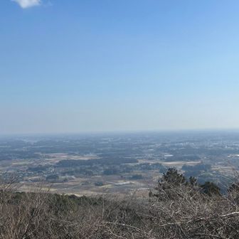 眺望はサッパリだけど