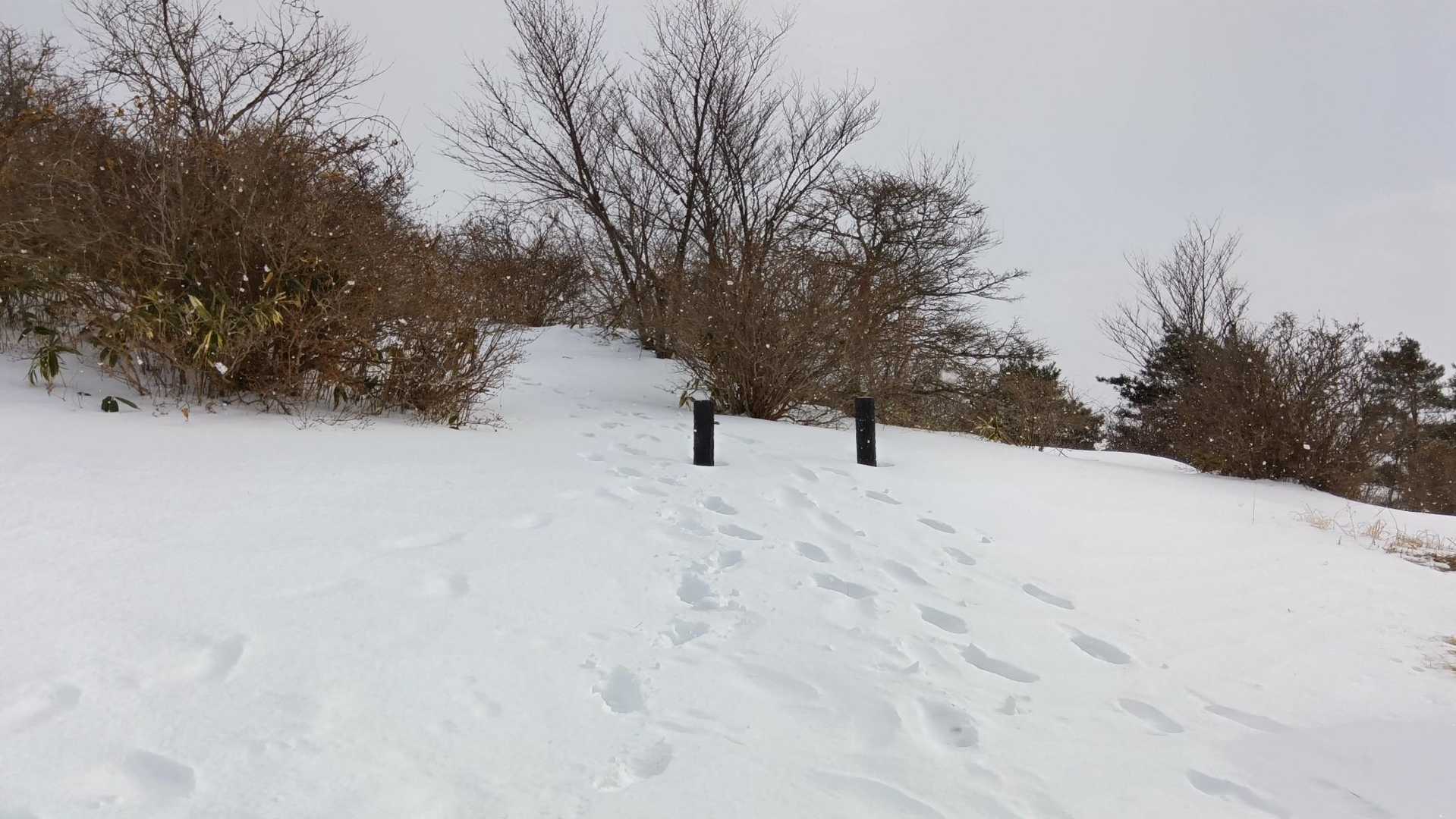 麓山 往復コースの写真