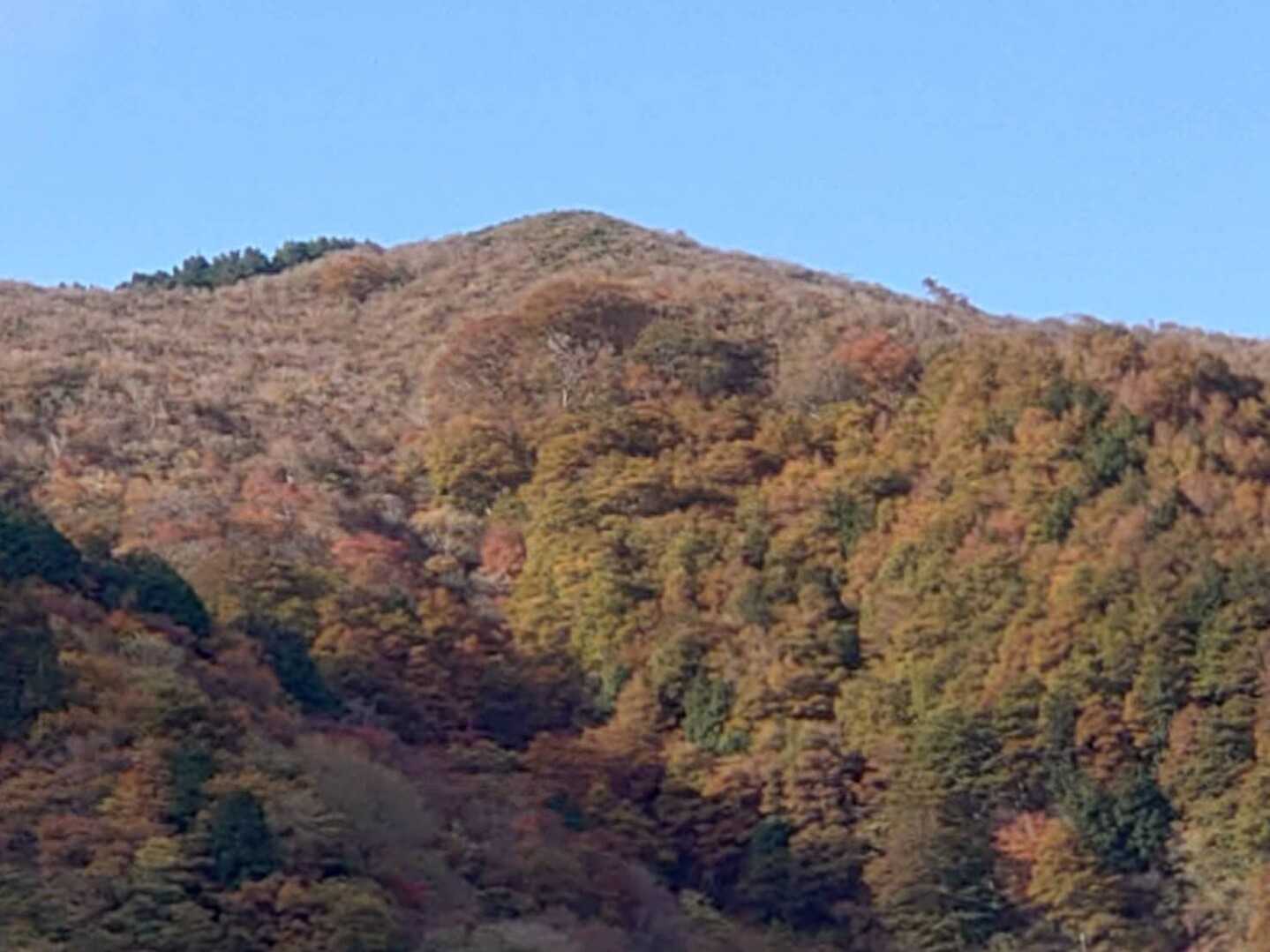野坂岳の写真