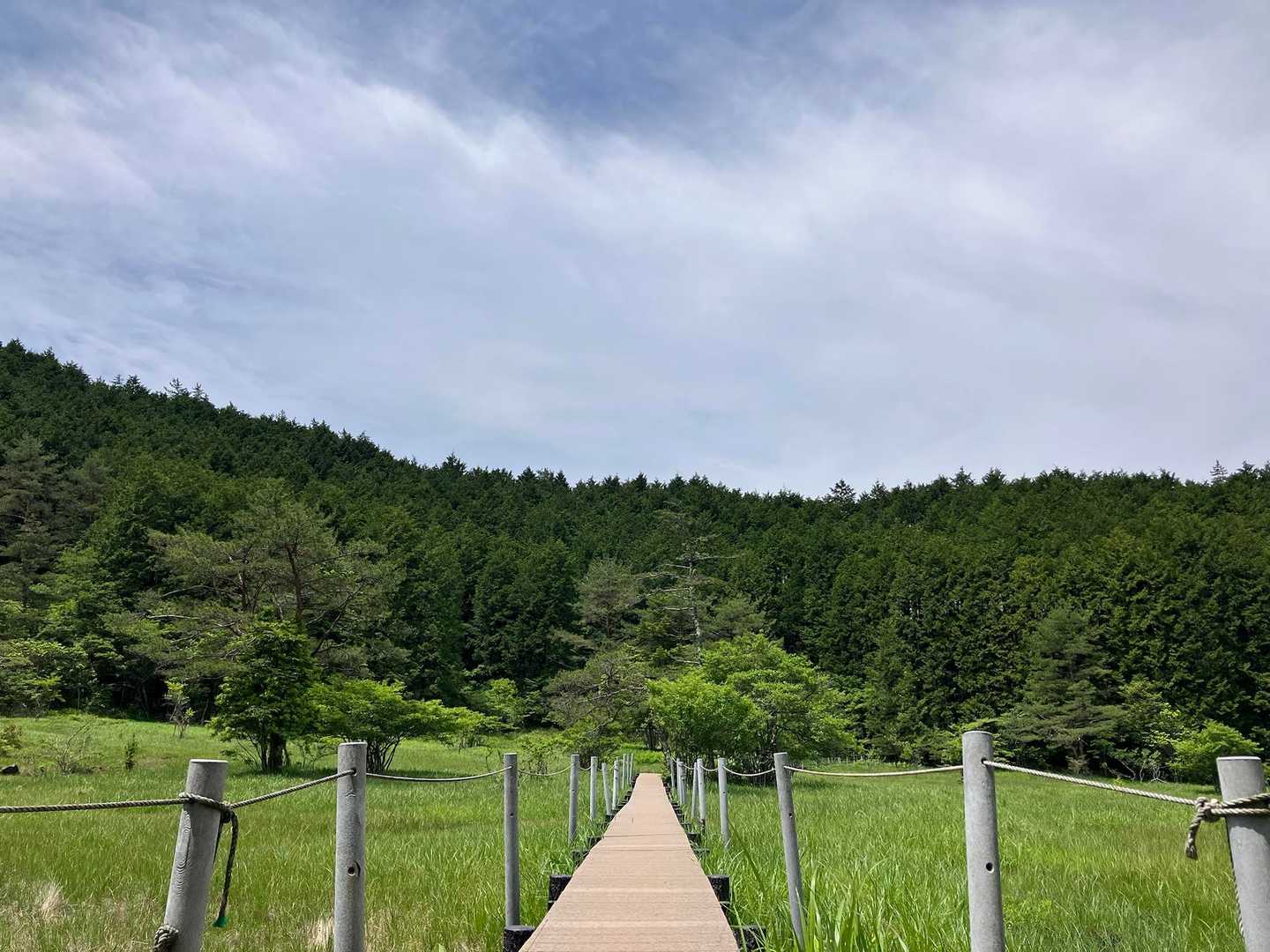 黒の田東湿地に出ました😊

この景色が見たくて屏風山10の計画を立てました♪
