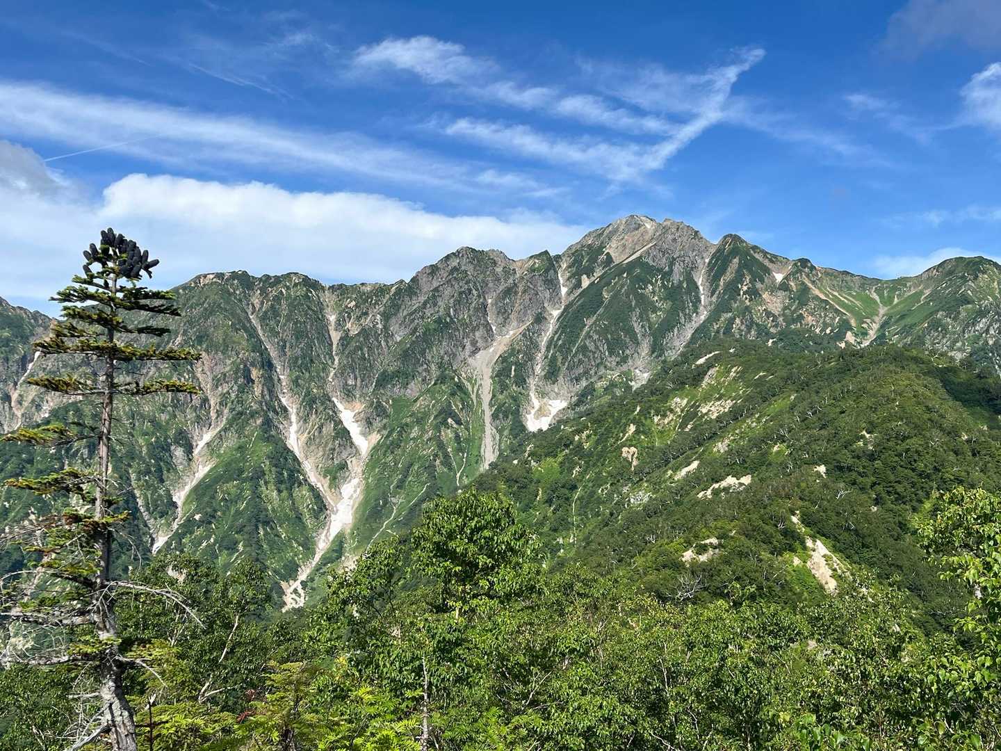 天気良くて同じ写真撮りがち☺️