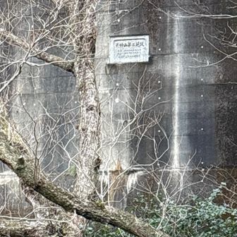 六甲山・長峰山・摩耶山 一番最初の堰堤は荒神山第二堰堤
右を巻きます➡️