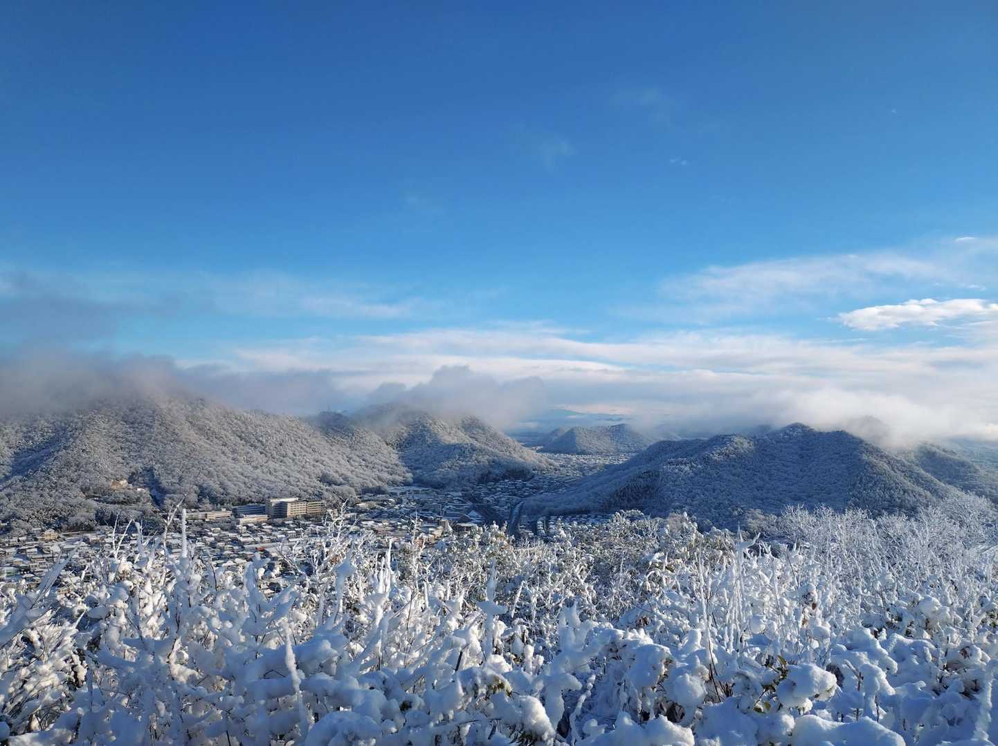 美しい各務原アルプス❄️
