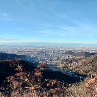 多分　足利の街と富士山方面