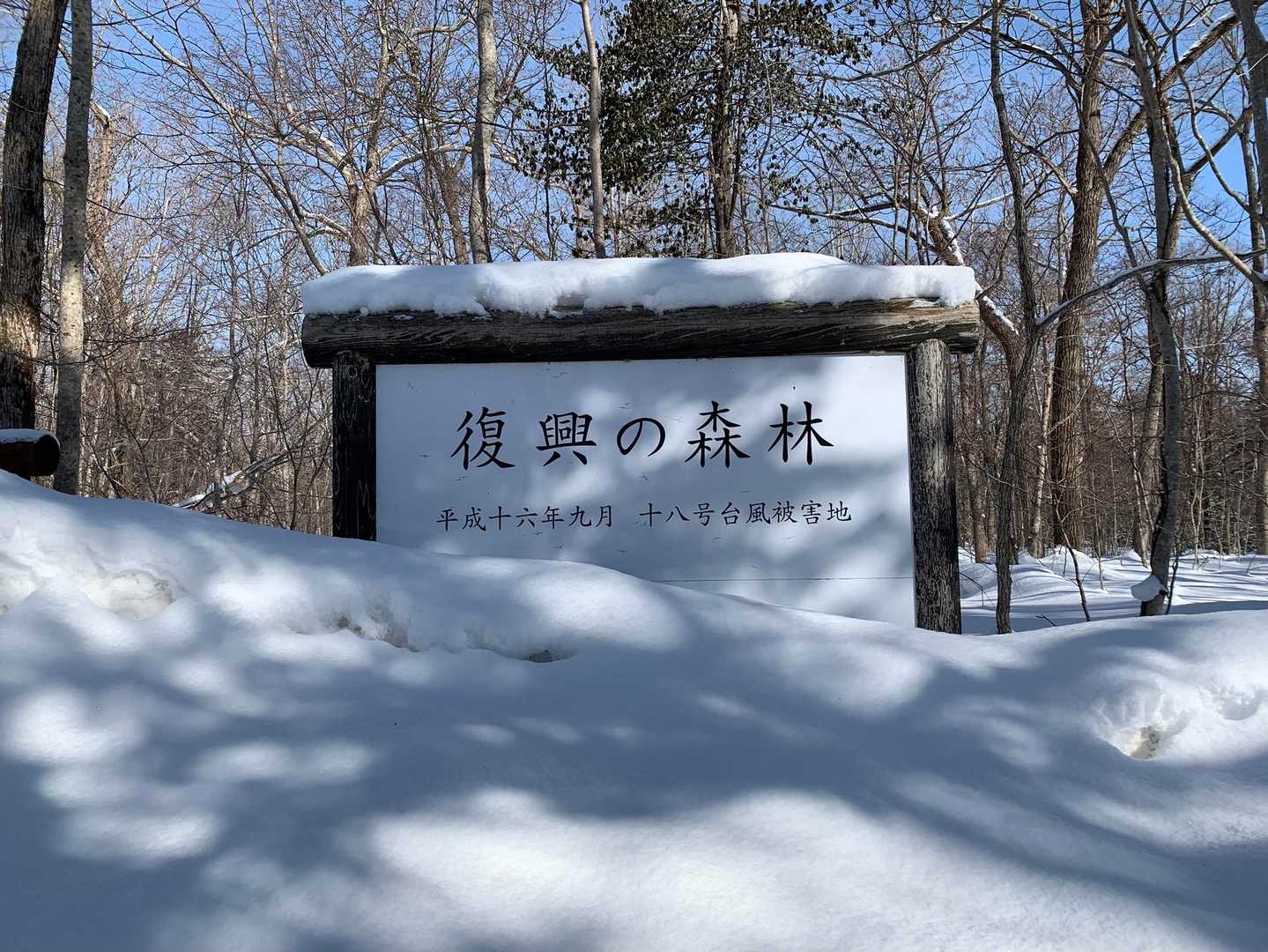 丸山遠見登山口-丸山遠見 往復コースの写真
