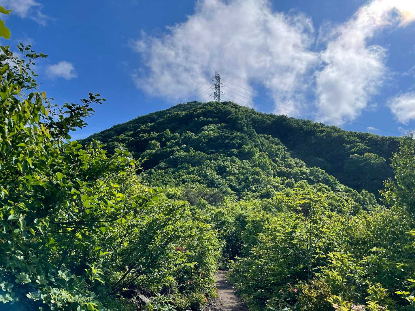 少し開けて鉄塔みえた🗼