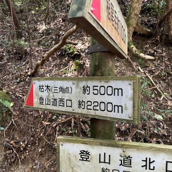 次はこの辺りの最高峰