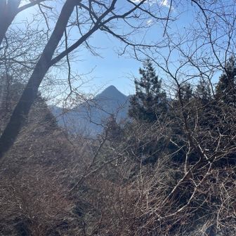 御岳山を後に、大塚山方面に向かいます。

あの、トンガリが、大岳山でしょうか？
いや、違いますかね？

それとも、奥の院？

すごく急峻な山ですね〰️😉