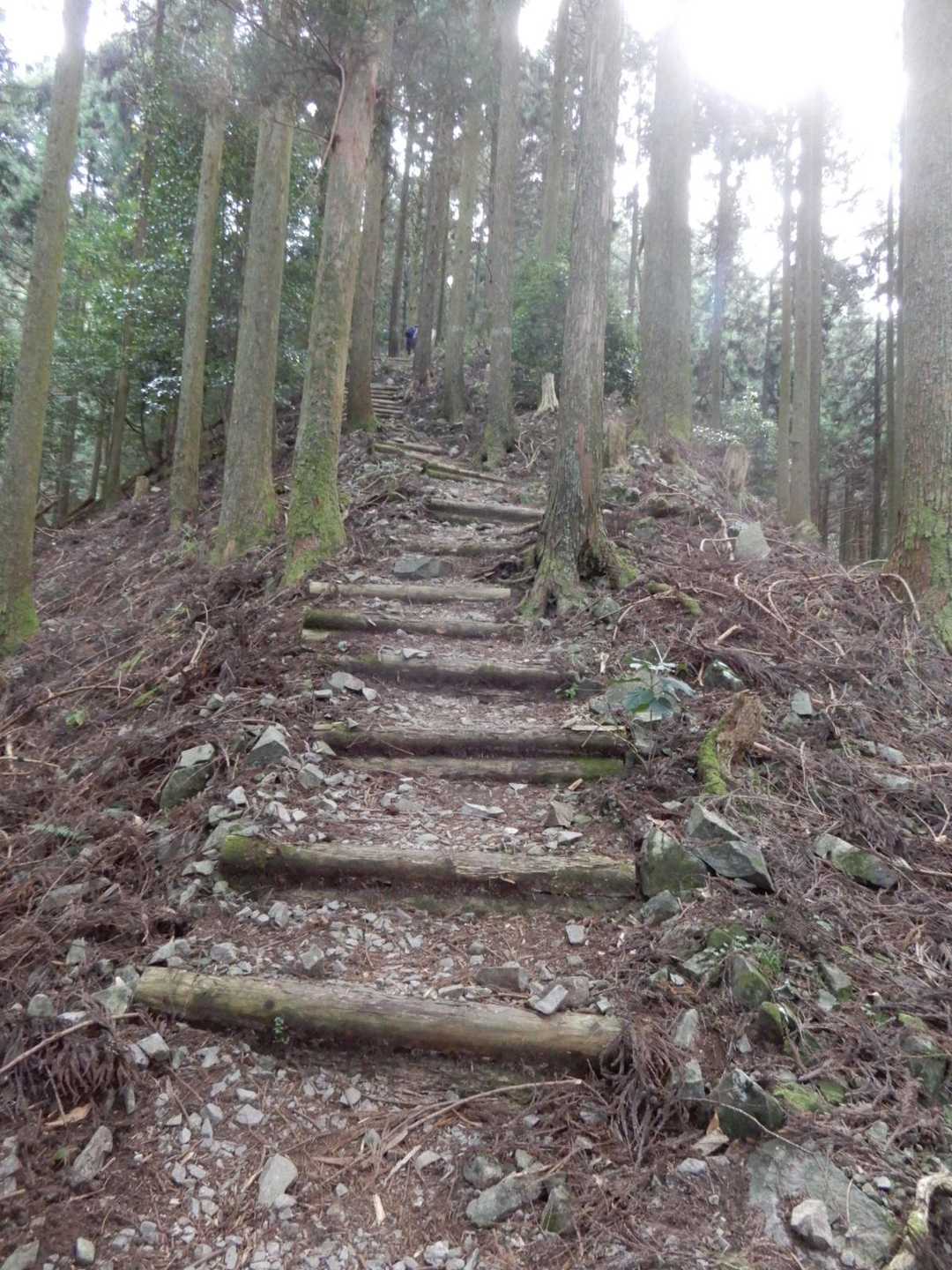 苦しい登りが続くが頑張る💪