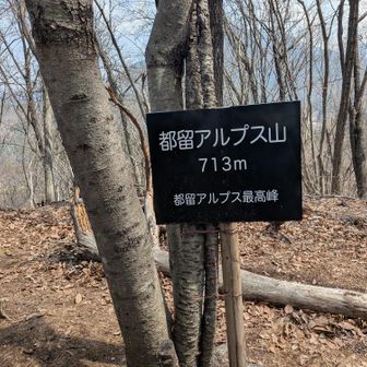 都留アルプス山(⁠◔⁠‿⁠◔⁠)
都留アルプス最高峰です✨️