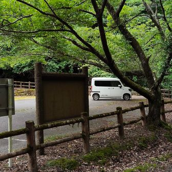 駐車場🅿️まで戻ってきましたが、白糸の滝に向かいます。