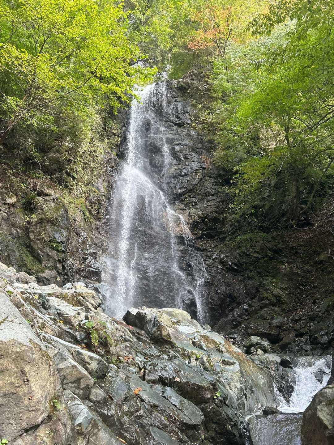 ミズヒ大滝。少し沢の中に入っていくと正面から見えることに後から気付いた。20メートルくらいの落差でしょうか。水量が多くて迫力があります。