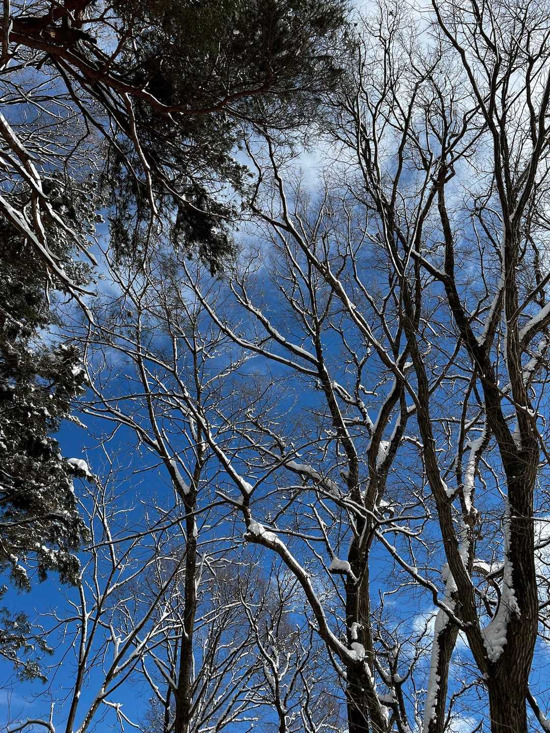 青空🟦