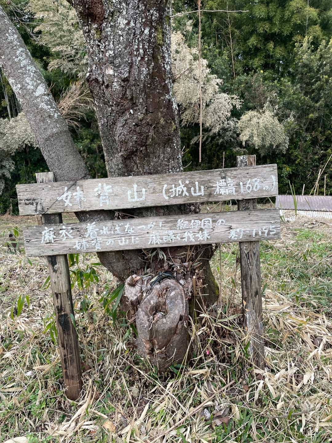背ノ山の写真