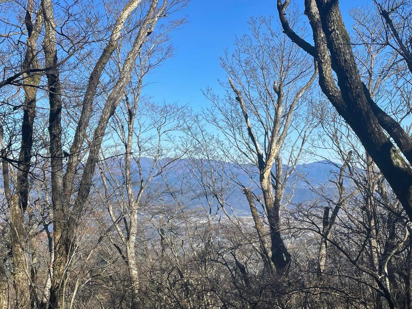丹沢山塊が見えました✨大山からオールスター全部見えてました！冬だけの特権ですね☺️