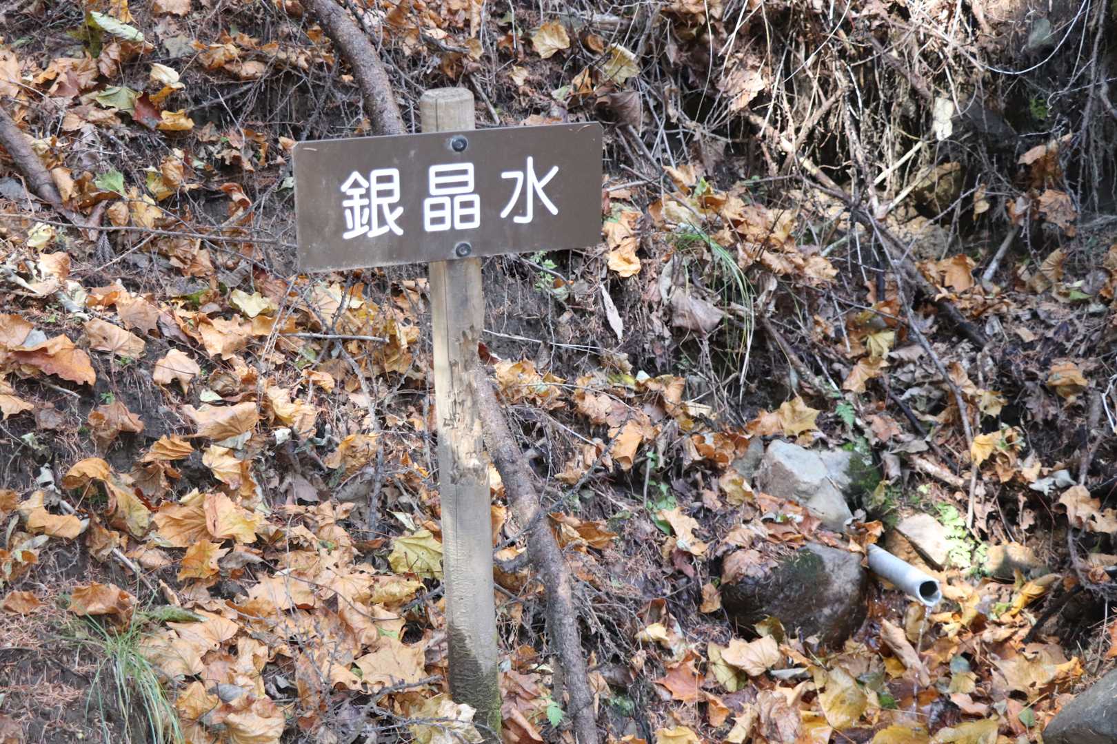 銀晶水
飲んでみたけど普通の湧き水かな😅