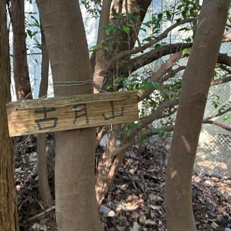 古月山(ふるつきやま)
(標高204m)