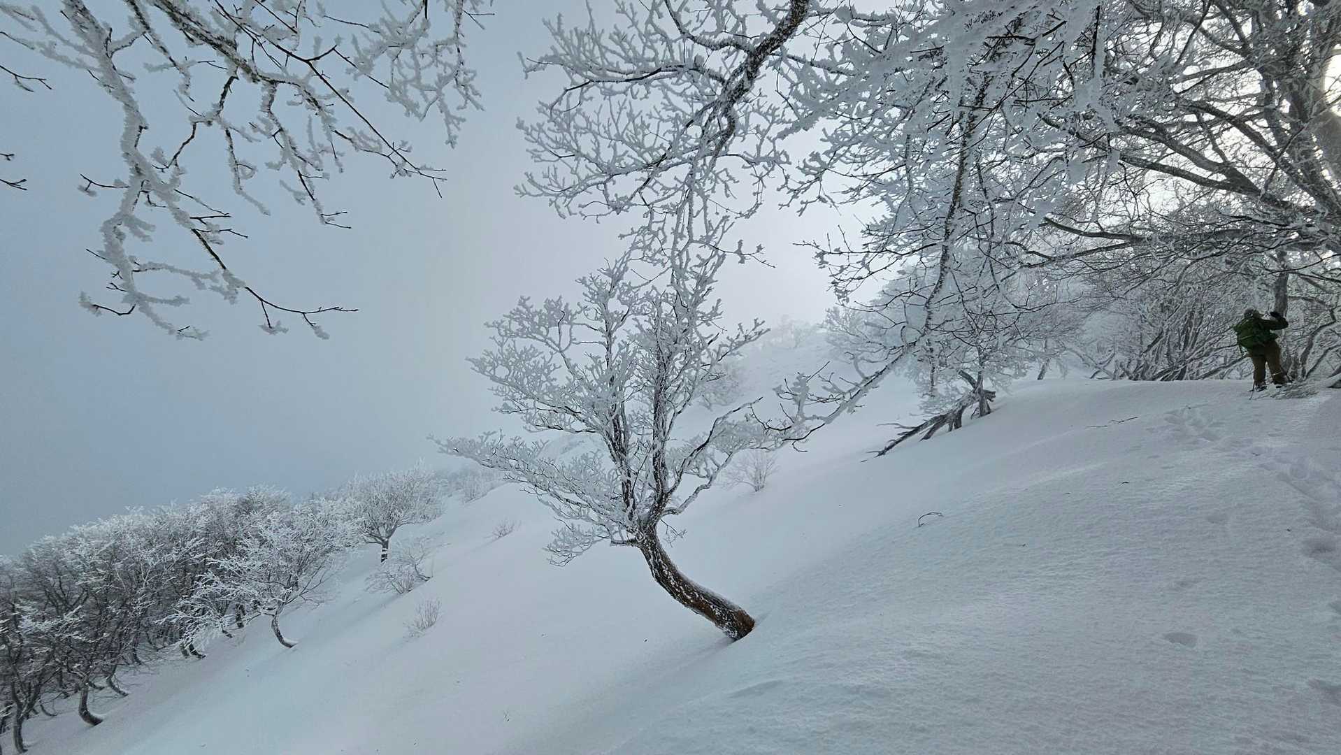 竜王山登山口-竜王山-綿向山 往復コースの写真