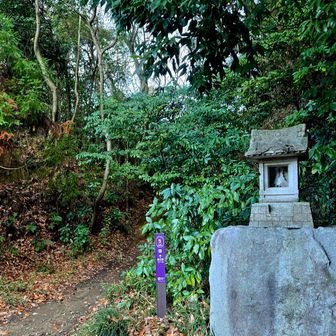 薬王院コース！