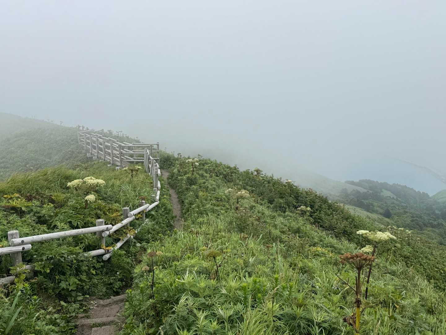 元地灯台-つばめ山-桃岩展望台登山口-礼香寺 縦走コースの写真