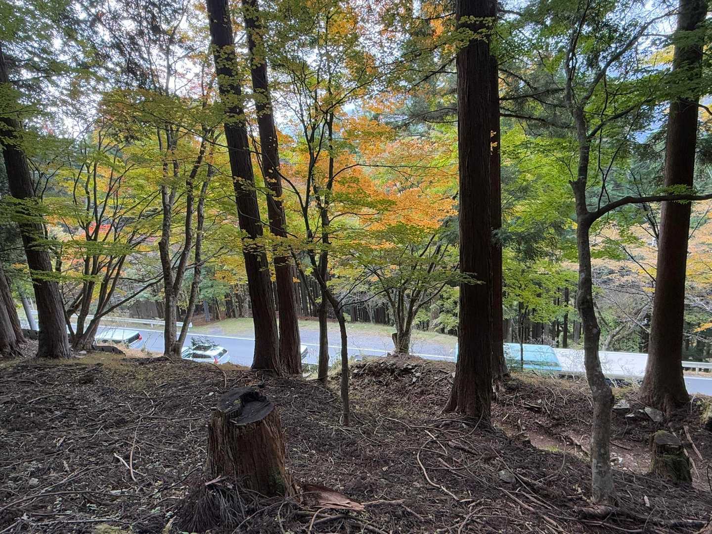 バスに乗ること約1時間15分
(家を出てから約4時間半！遠い💦)
目的地手前で渋滞に巻き込まれる🚌💨
(バスの屋根が見えてる)
途中下車して、すぐの山道に入る
Takaちゃんナイス👍🏻
(ほとんどの人が車道を歩いてバス停に向かってた)
