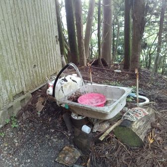 水場が何か所かありました。