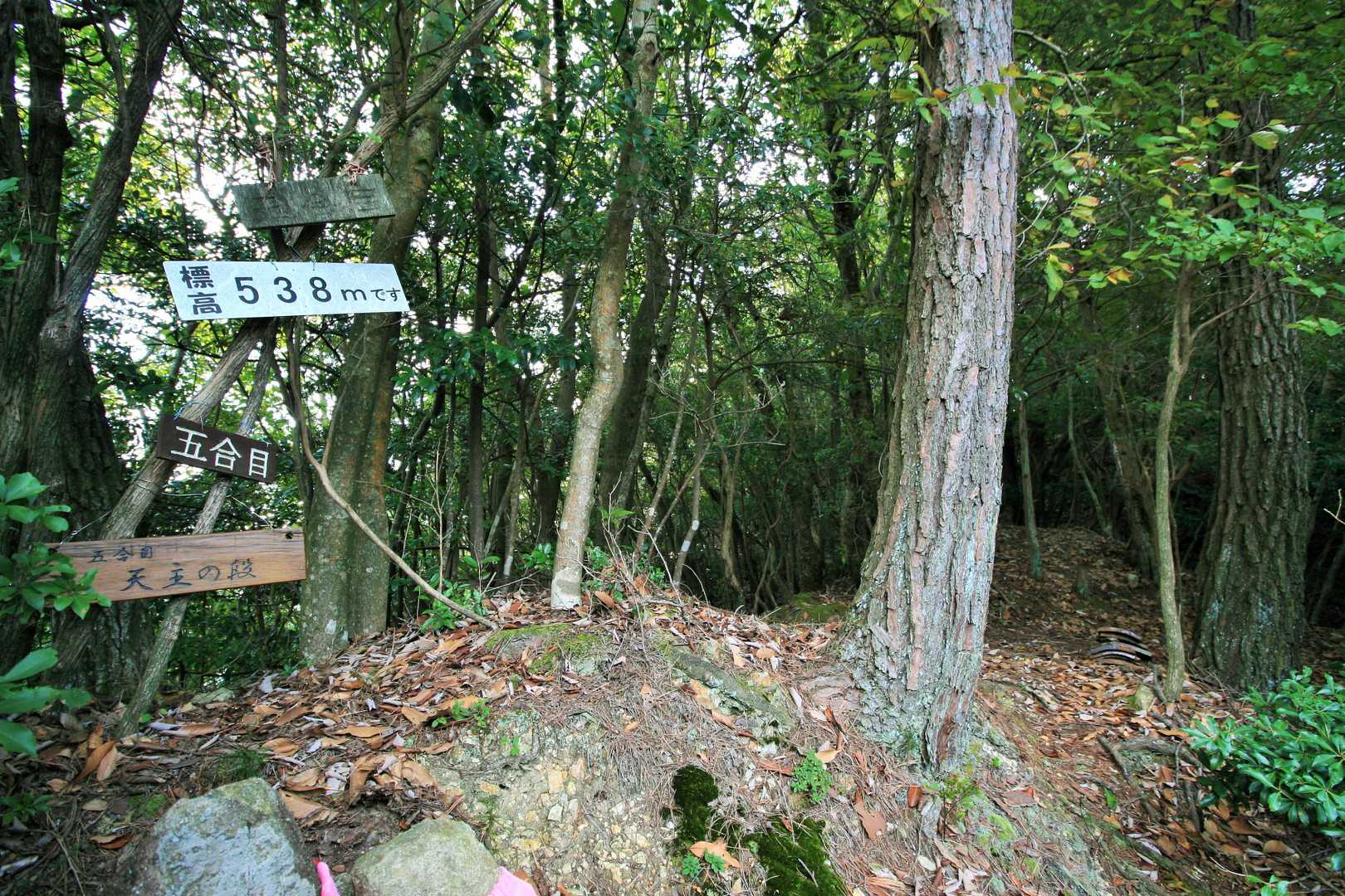 5合目の538ピーク地点へ行ってみた
(写真右側のところから入ってすぐ)