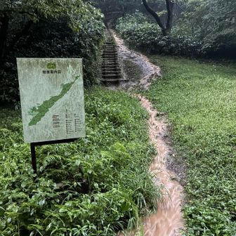 栃の木広場、トレイルが川になってる