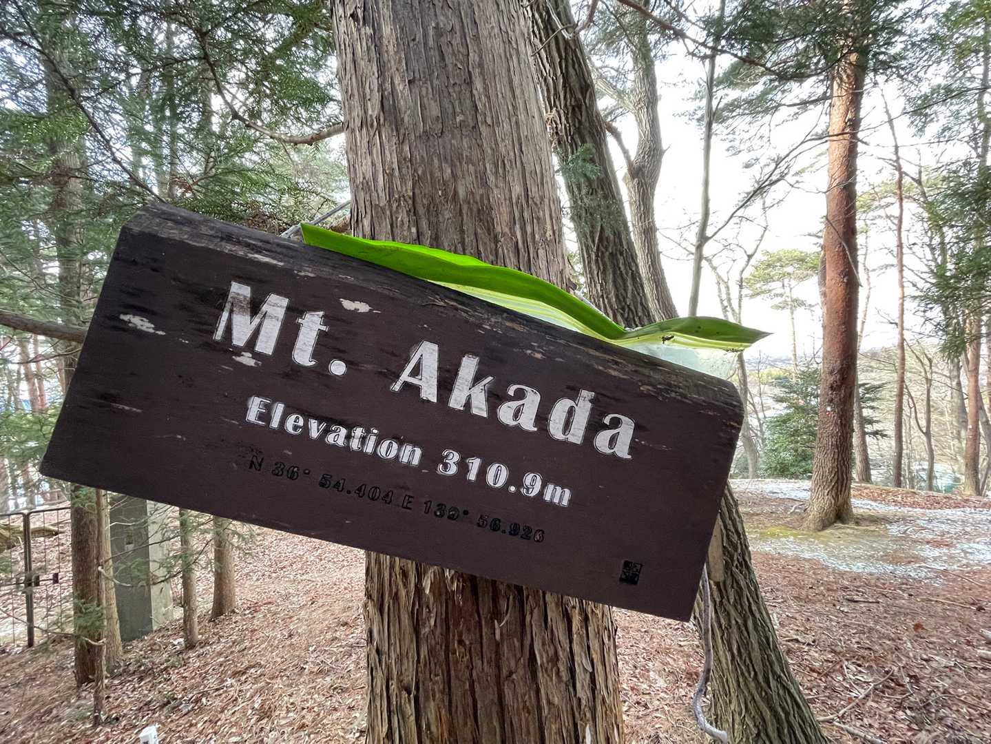 登った気しないけど立派な山名板👍