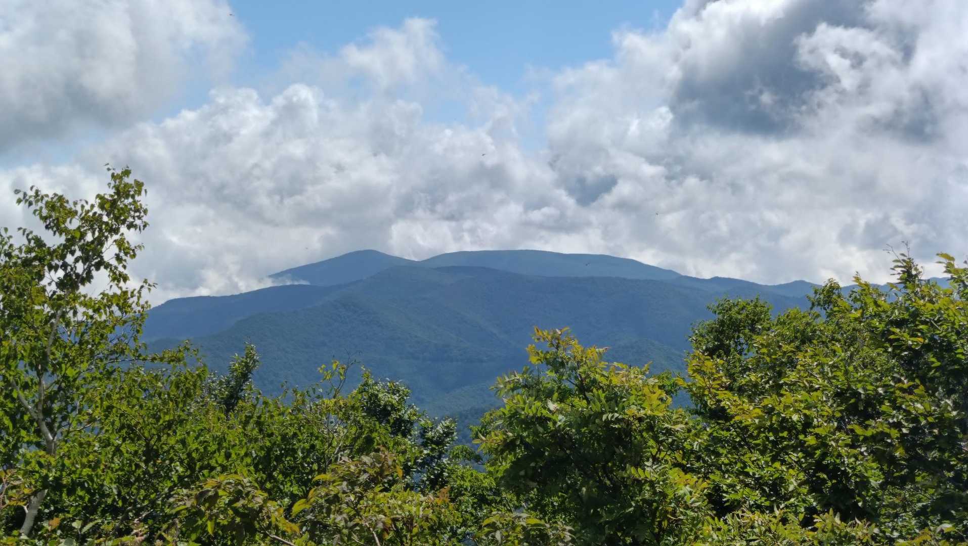 安家森-遠別岳-平庭岳-平庭峠 縦走コースの写真