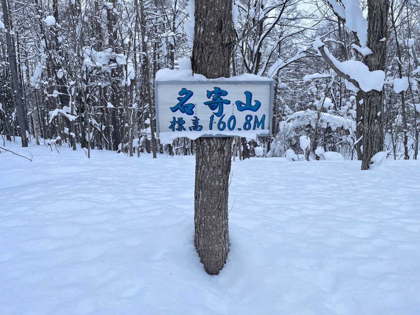 名寄山の写真