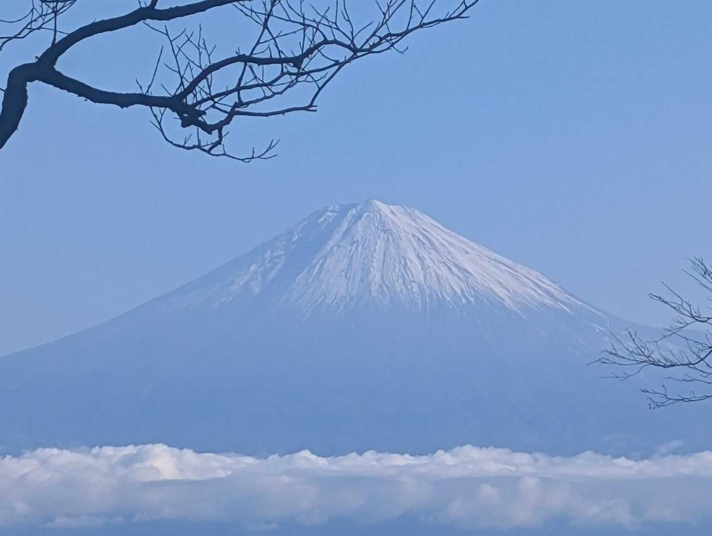 アップで