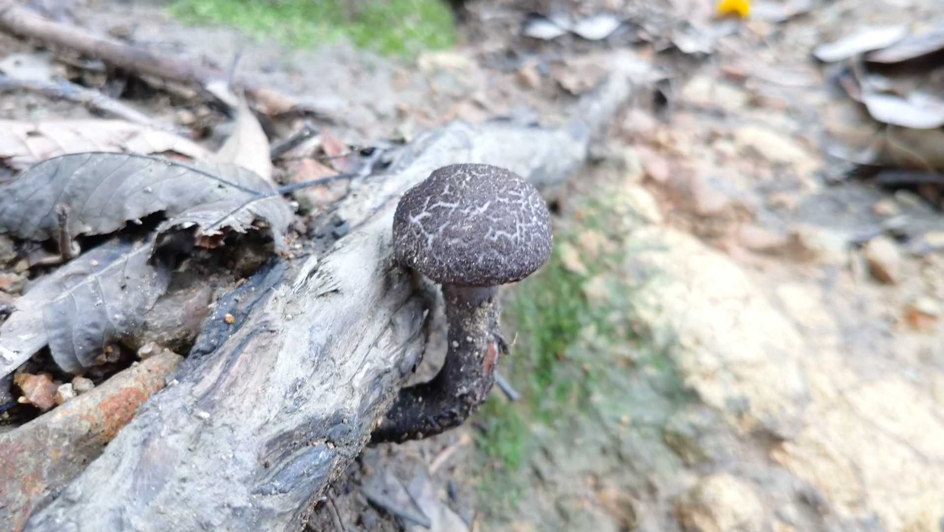 私はここにいるよ～🎵