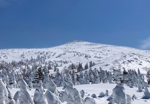烏帽子岳（乳頭山）（岩手・秋田・1478m）| 登山ルート・天気 | YAMAP