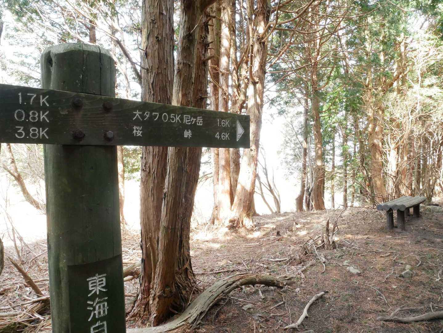 後ろから人が😱
地図を見ずに後を着いて行ってしまい、二ノ峰をスルーしていた😅