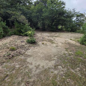 根の平峠あたり。テン泊適地