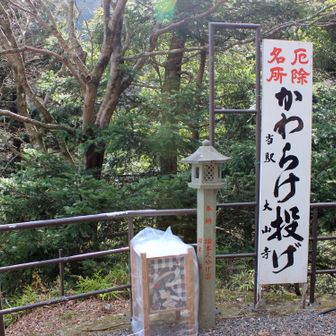 やっていませんでした。