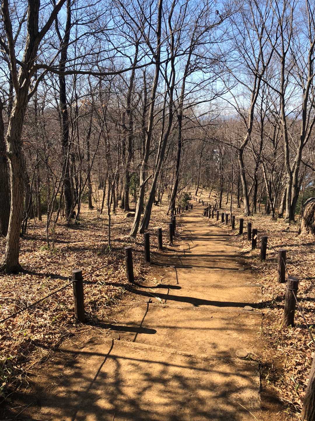 こころ踊る縦走路。