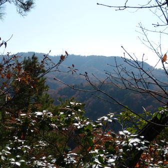 天智山からは眺望が少し開けています。南に大文字山。