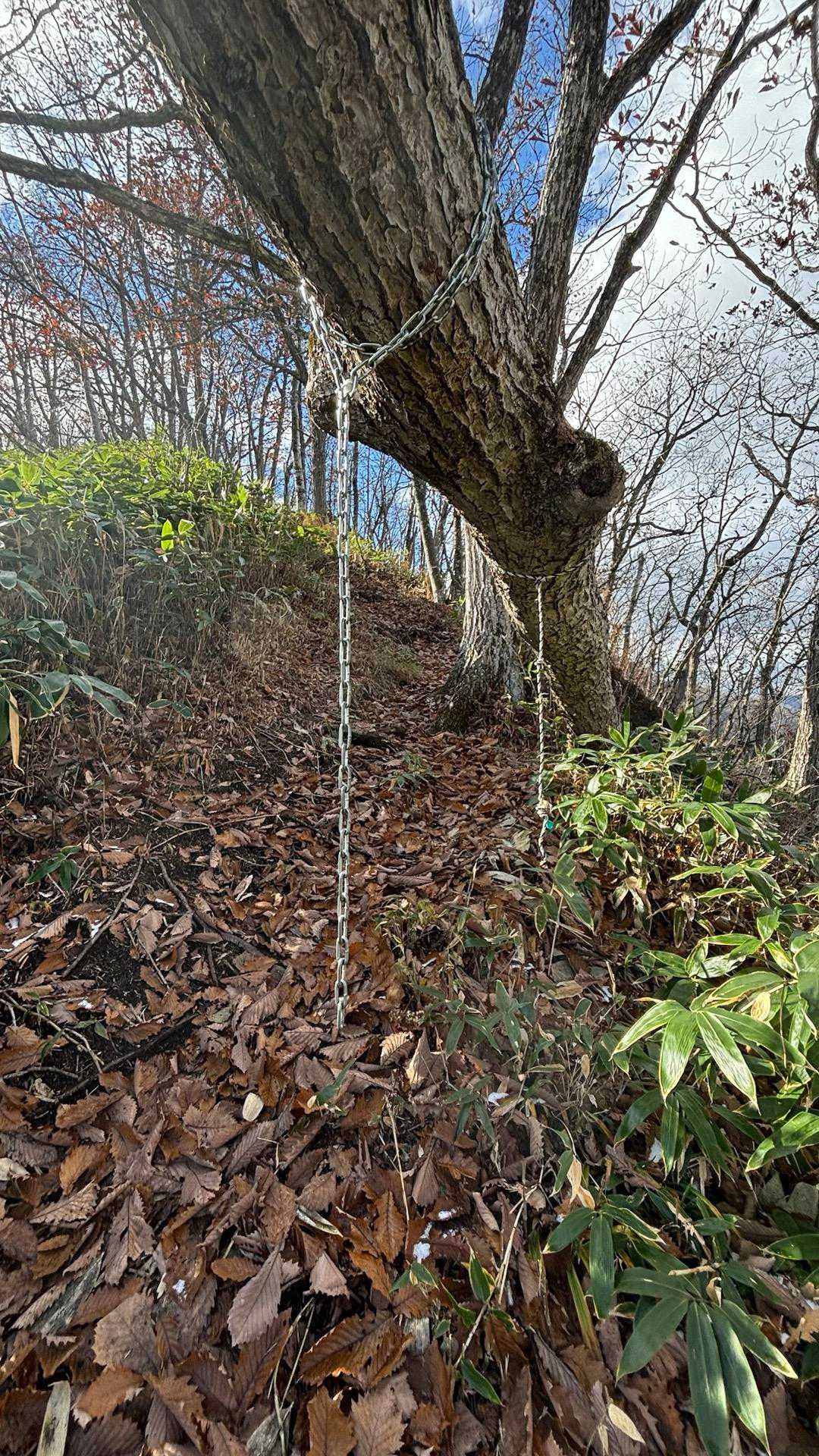 一の森まで残り150歩の目印