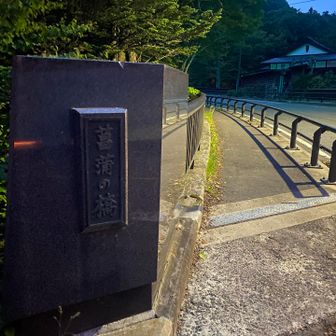 菖蒲の橋🥢
ゴールは直ぐ先ですが、夜間徘徊が好きなたろさはまだまだやる気十分😼