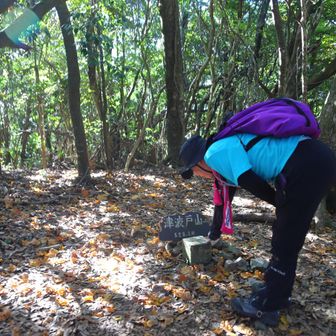 津波戸山
■津波戸
等級 :　三等三角点
緯度 :　33.513792083
経度 :　131.447751056
標高 :　529.09m
COD :　TR35031231501
場所 :　大分県杵築市
訪問 :　2025年11月29日