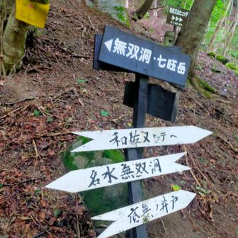 この場所が一番底とは露知らず。ここから地獄の登り返しに苦しむ。